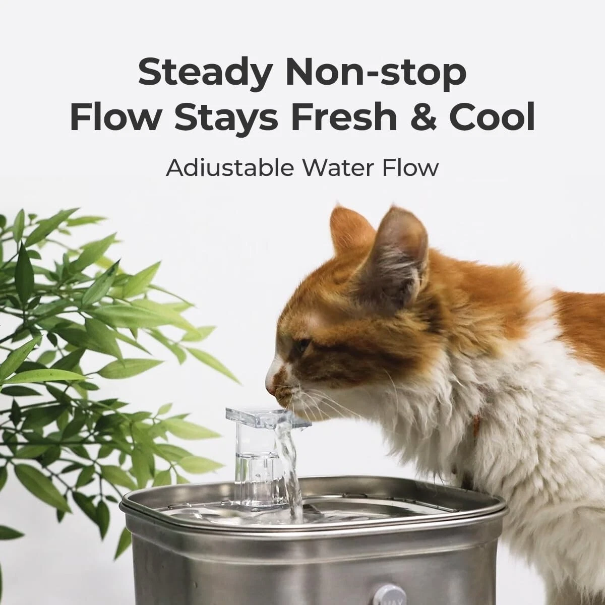 Cat Water Fountain Stainless Steel 74oz/2.2L Automatic Pet Dog Water Fountain - Image 8